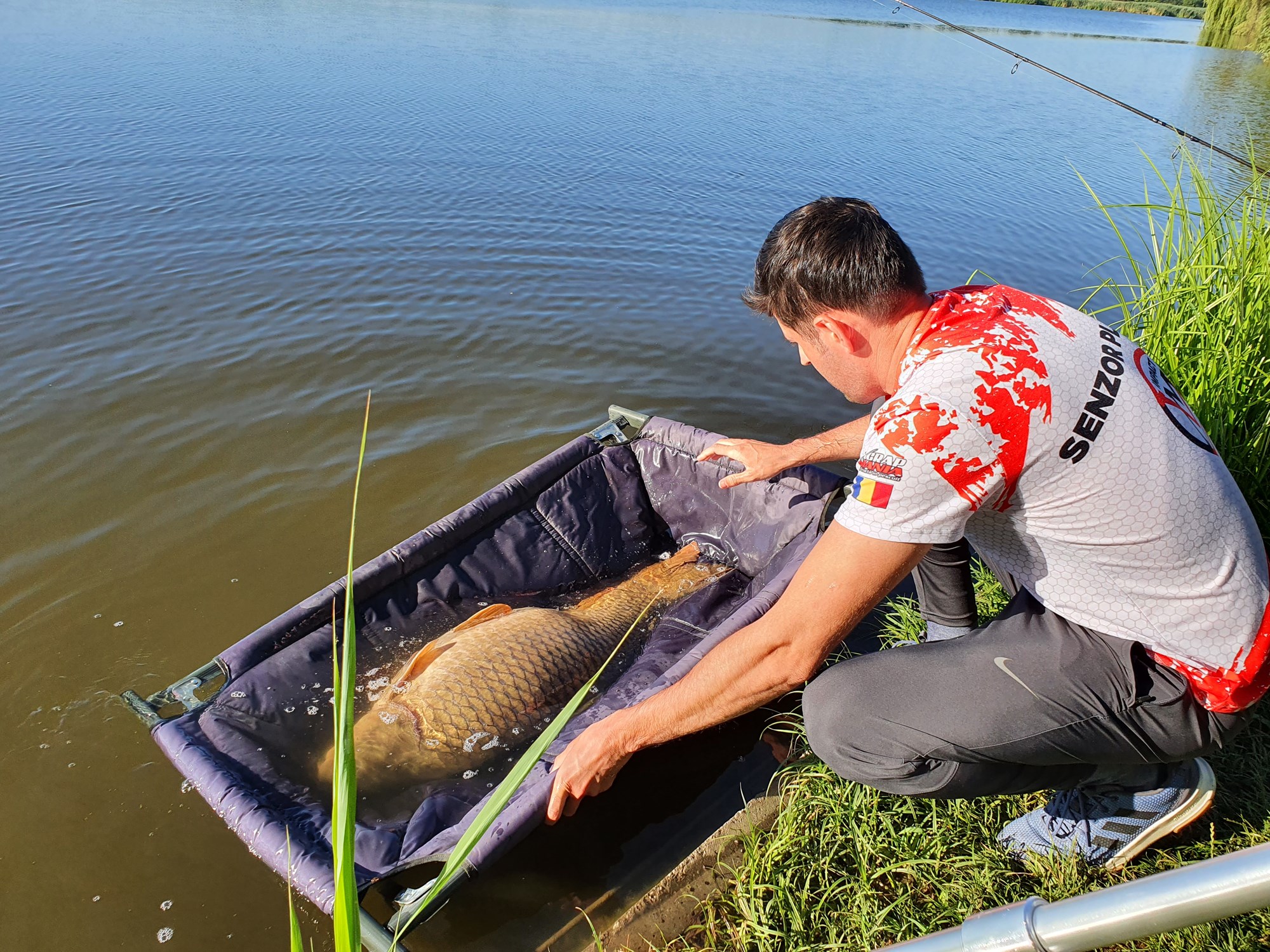 Tancabesti 9 - 12 iulie 2020 - 20200711075448.jpg